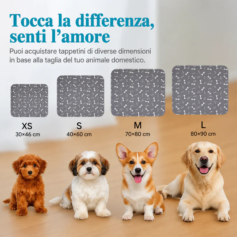 Tappetino Cane | Assorbe e Protegge Davvero